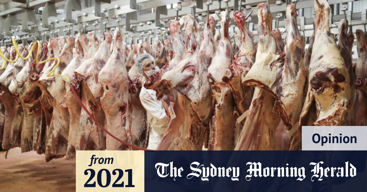 Meat giant JBS’ cyber woes lay bare a dangerous reality